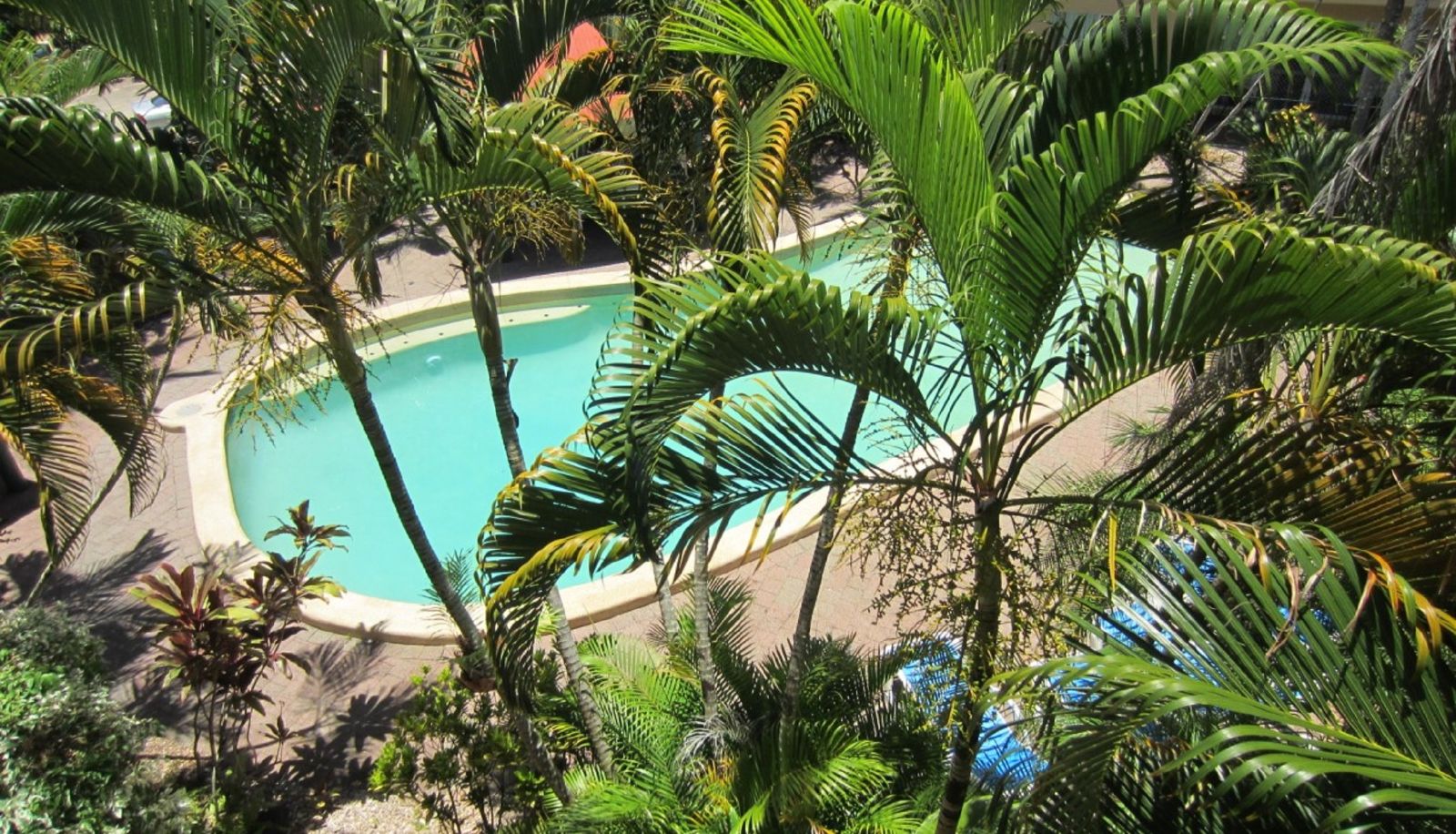 Pool - Tradewinds McLeod Holiday Apartments