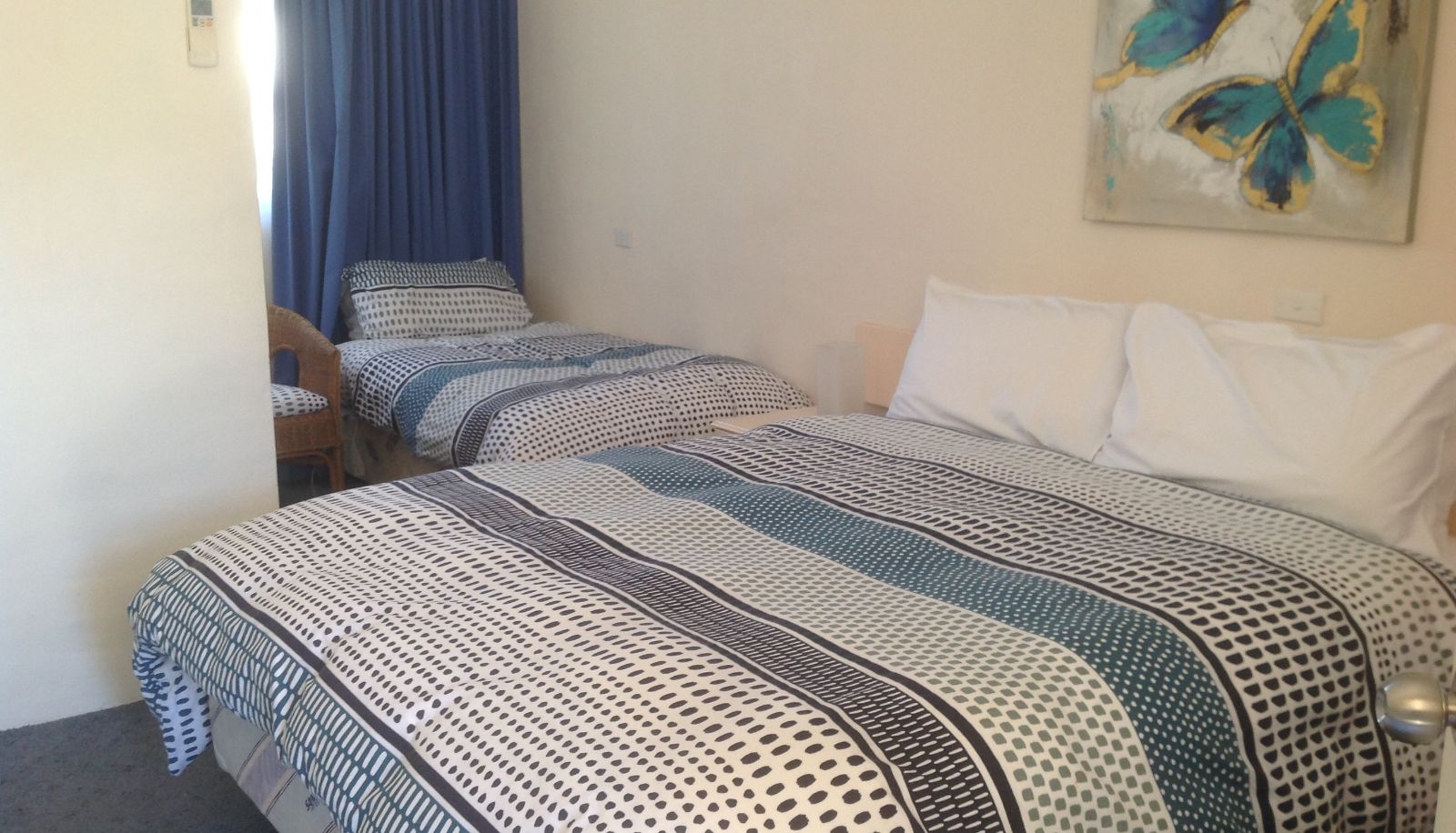 Info - Bogong Moth Motel