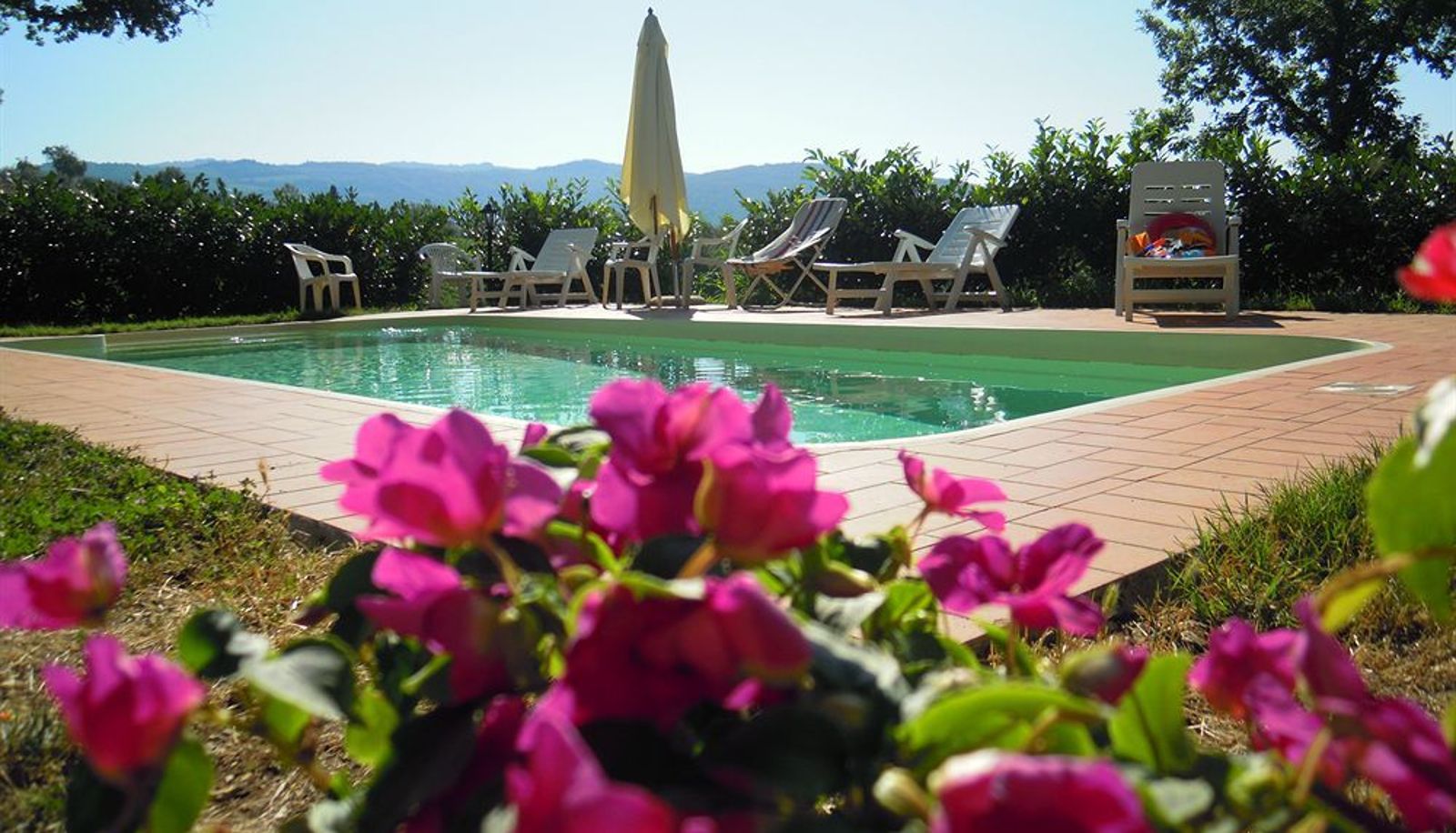 Piscina - Agriturismo San Clemente