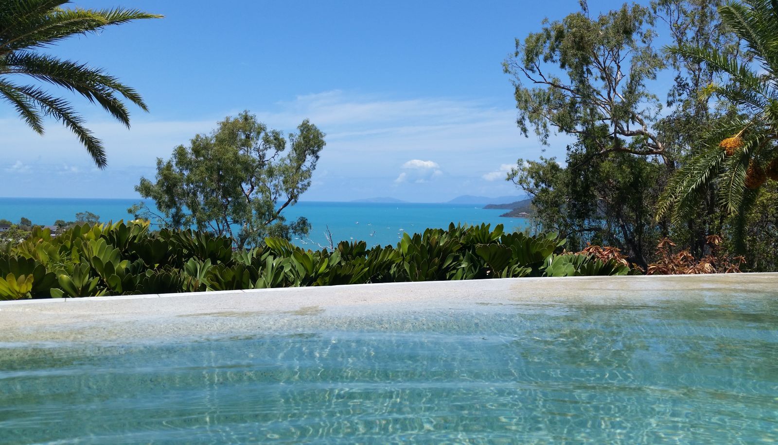 Piscine - Sea Star Apartments