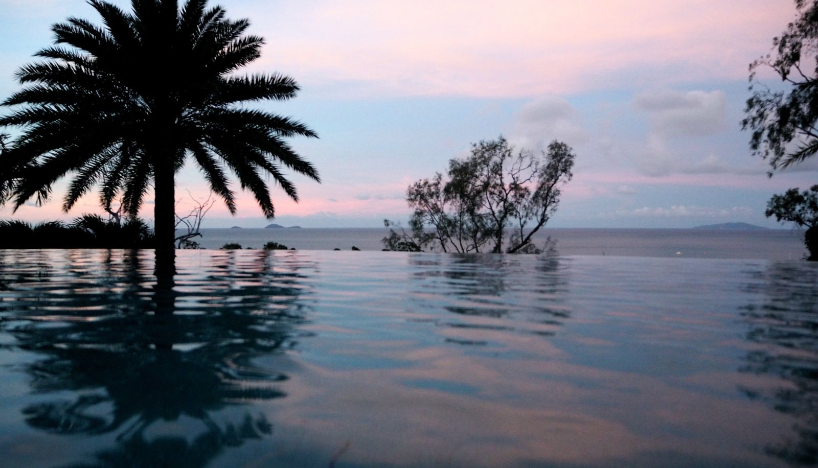 Piscine - Sea Star Apartments