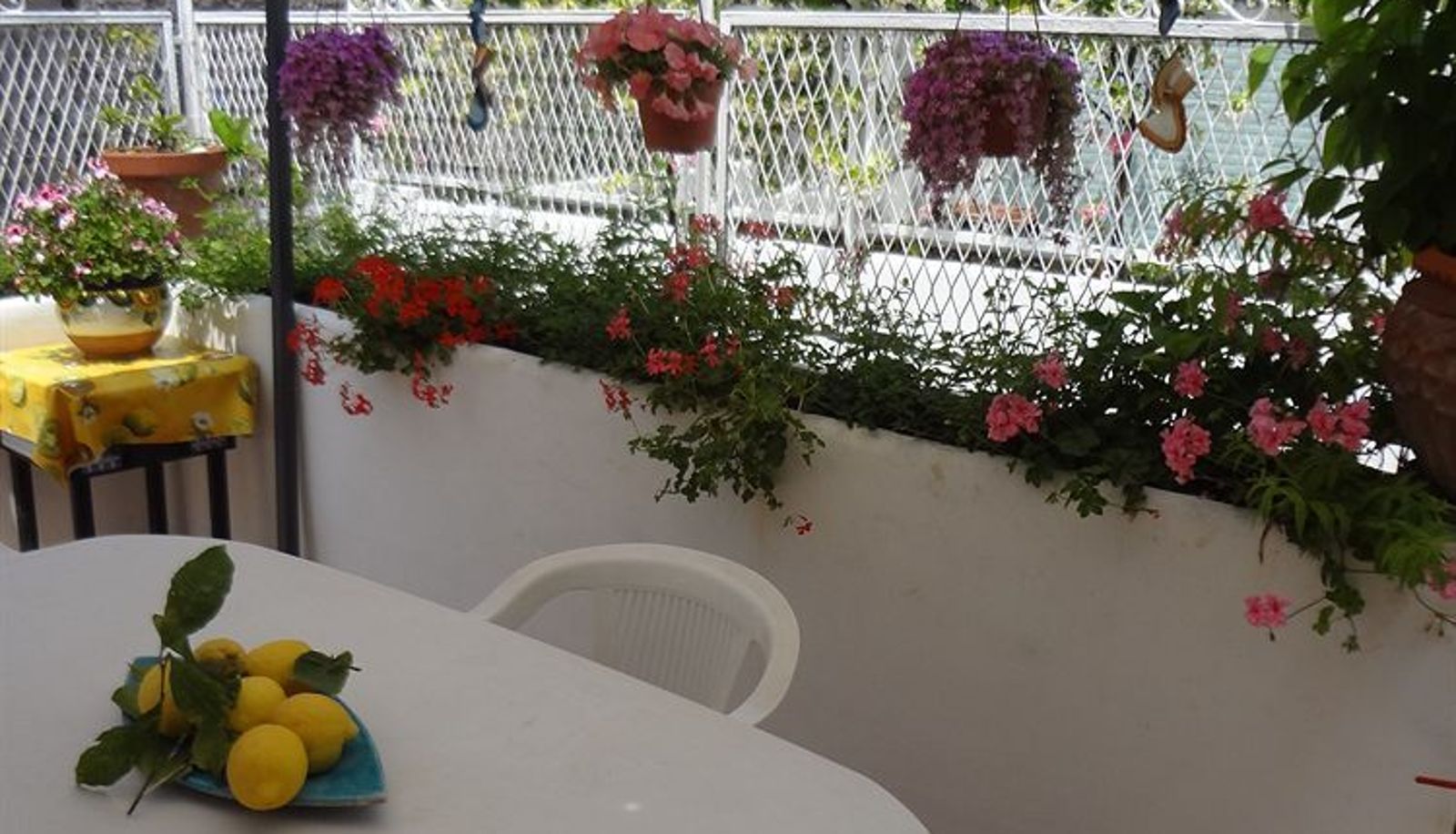 Terrace - B&B Soleluna