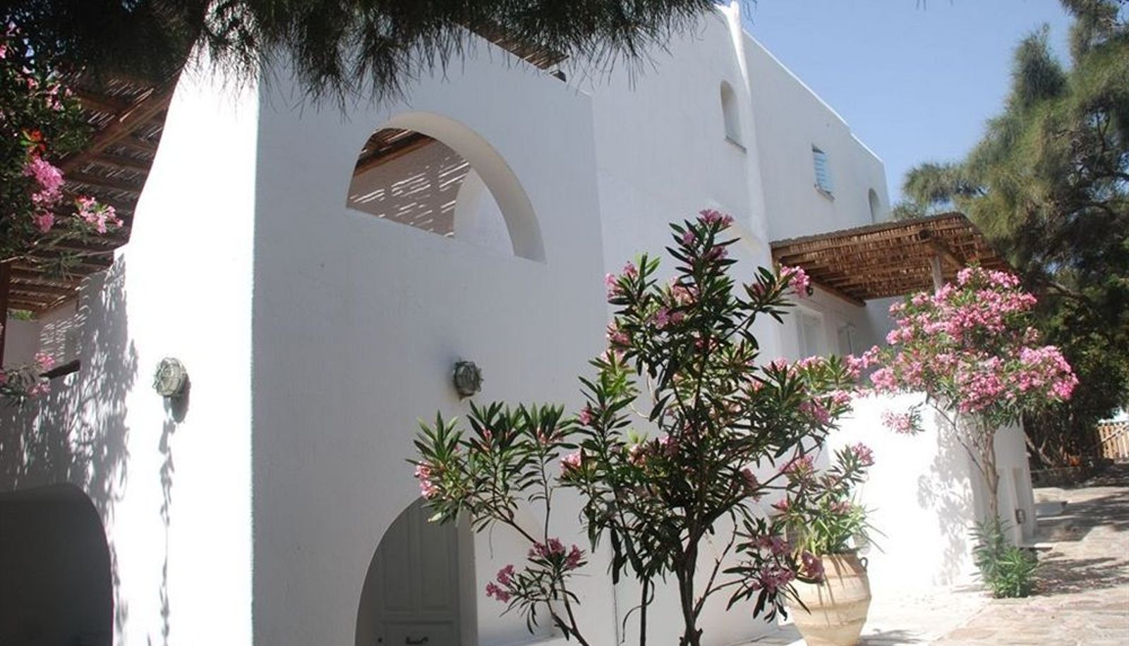 Jardin - Eleni's Studio
