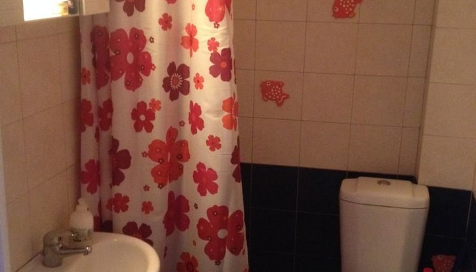 Información - Studios Arabas - Hostel