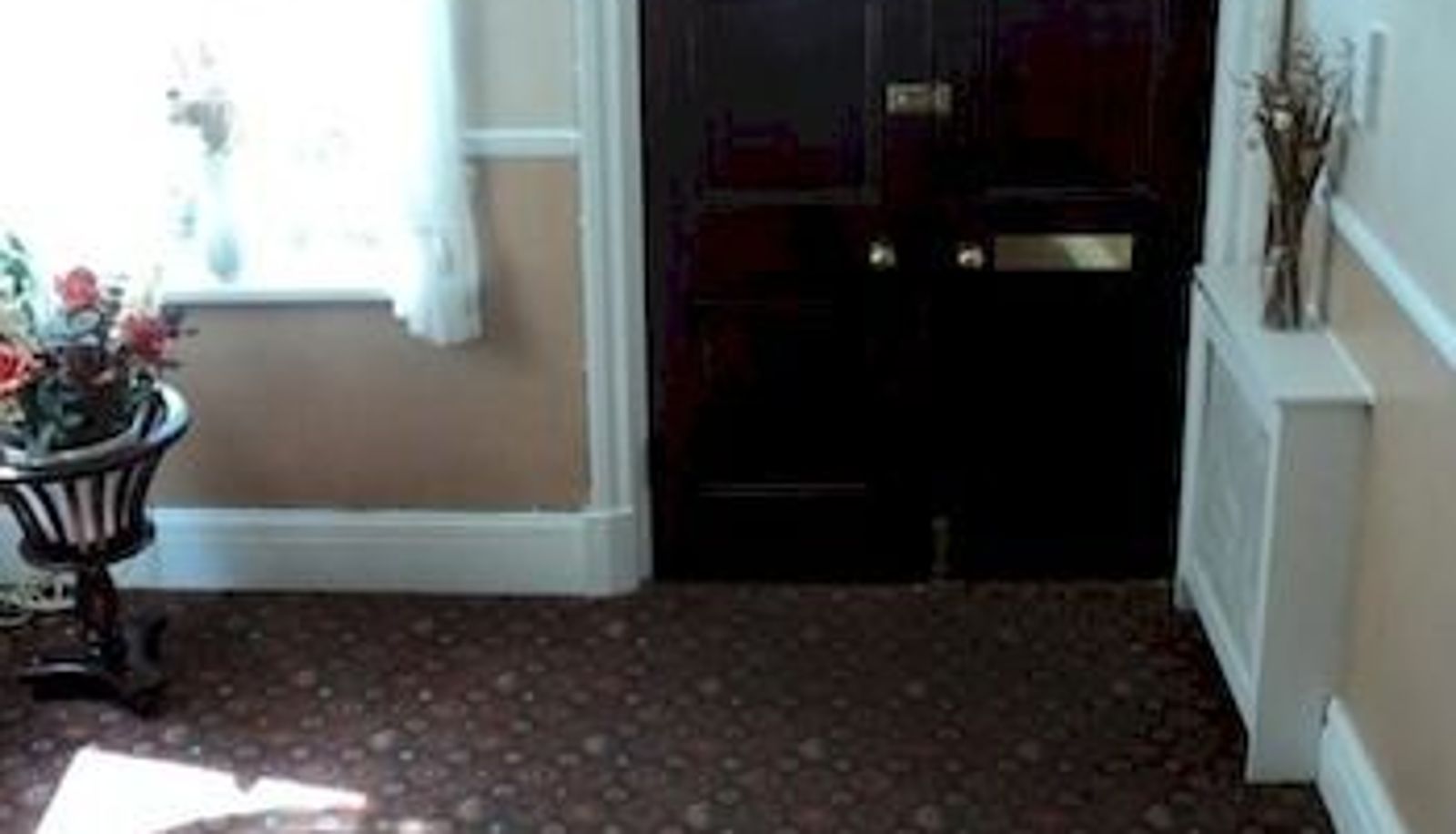 Interior del hotel - The Cabana