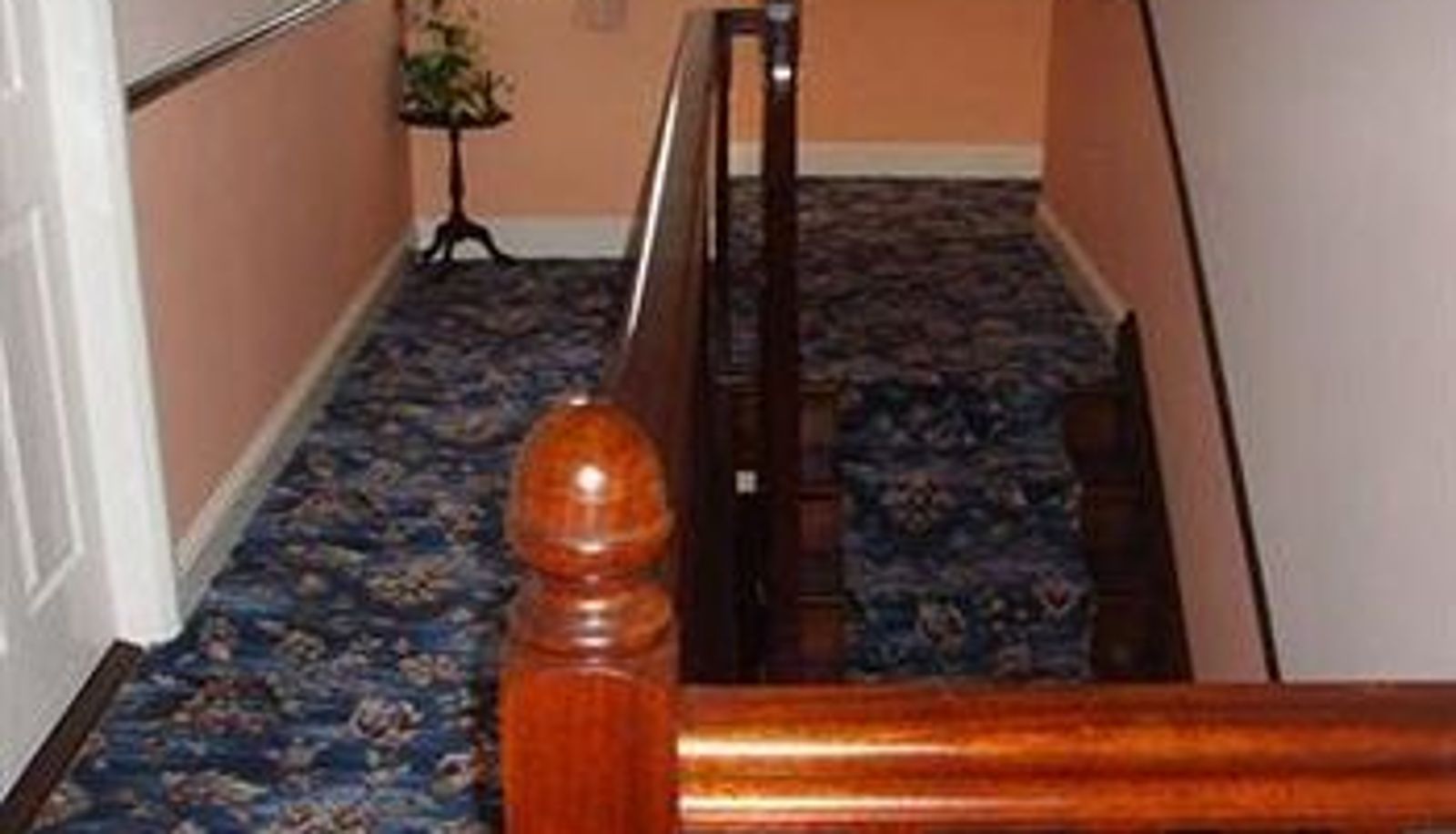 Hotel interior - Springfield House Bed & Breakfast