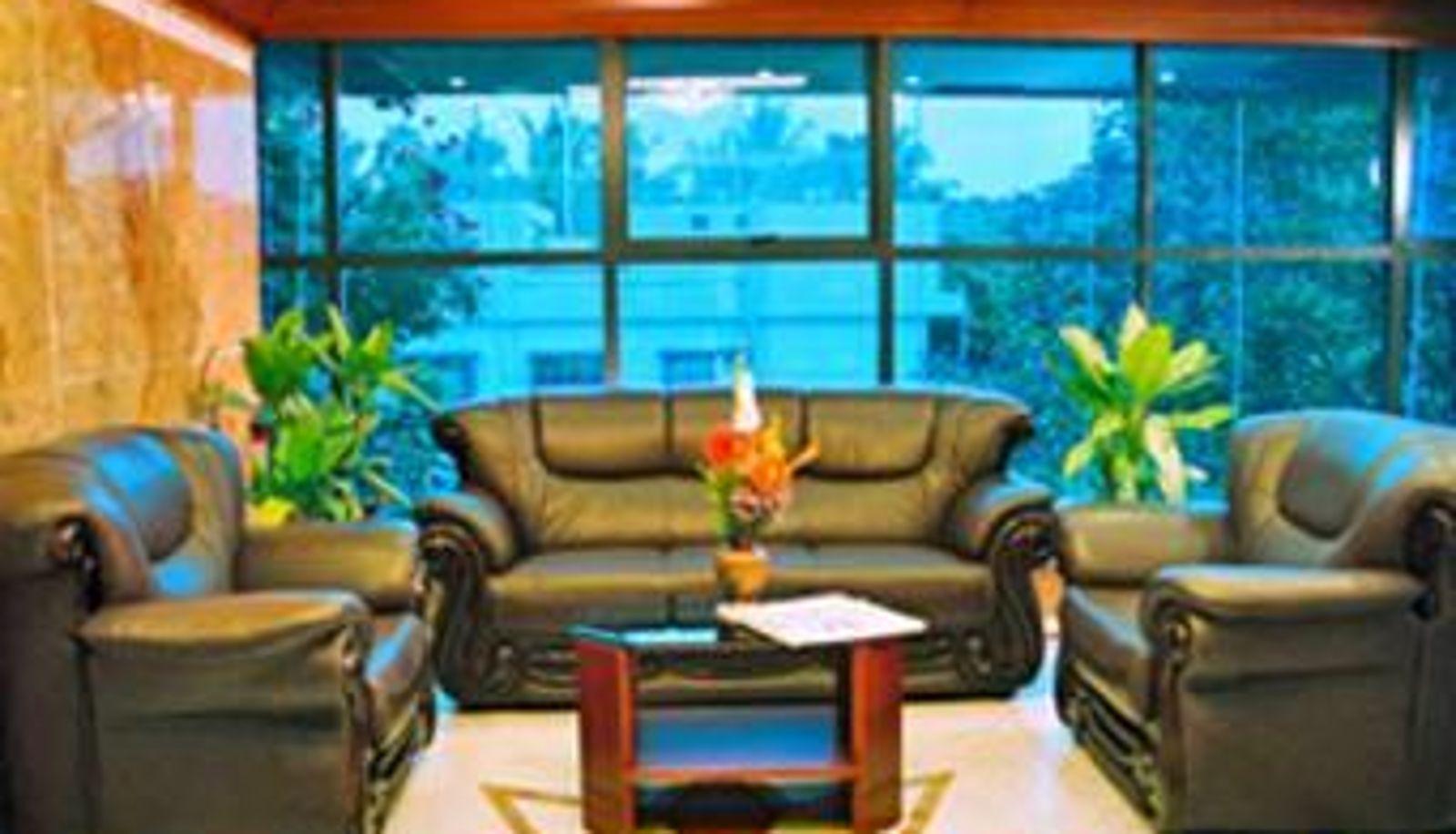 Hall - Pleasant stay inn