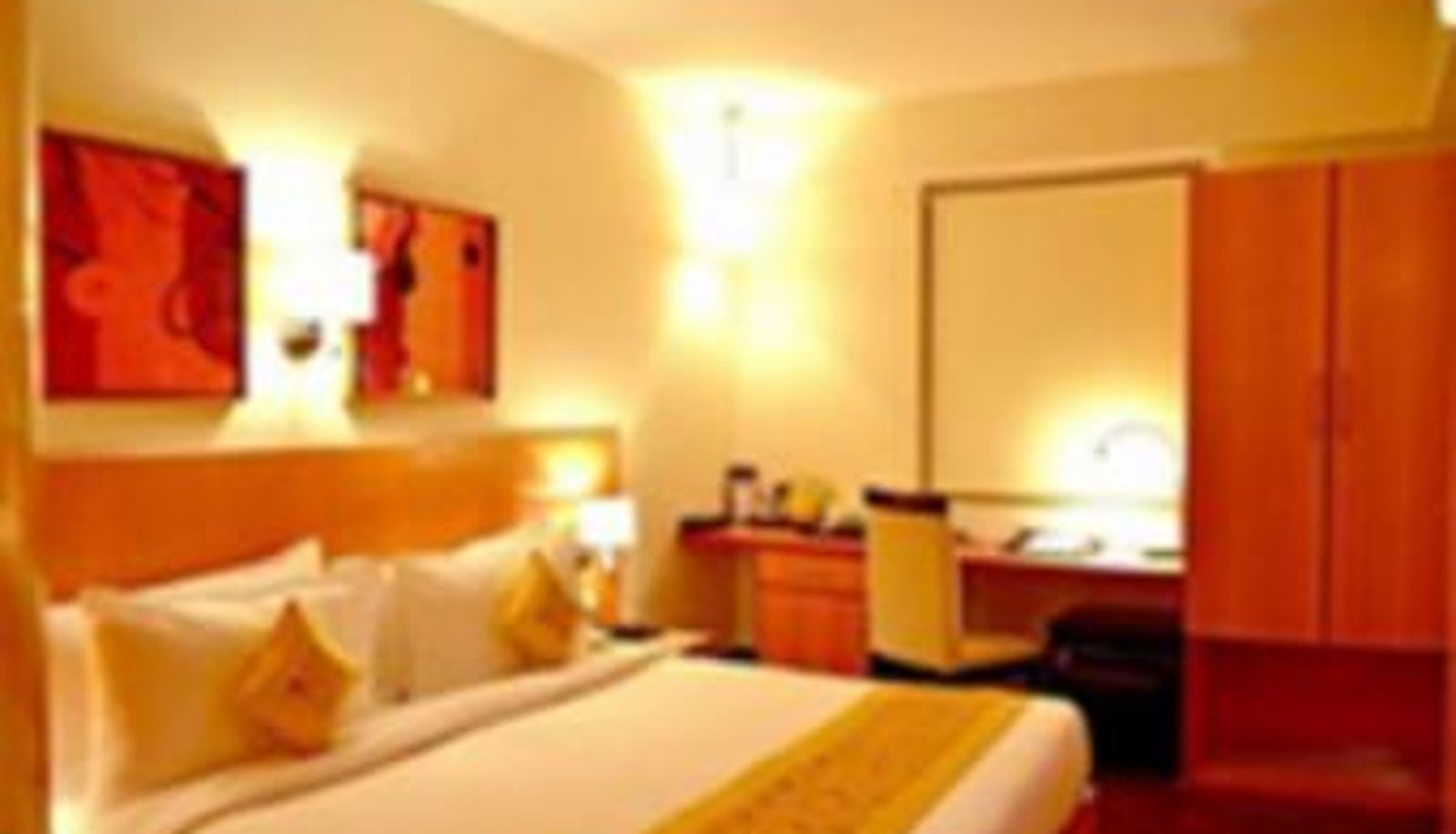 Superior room (single) - The Theme Jaipur