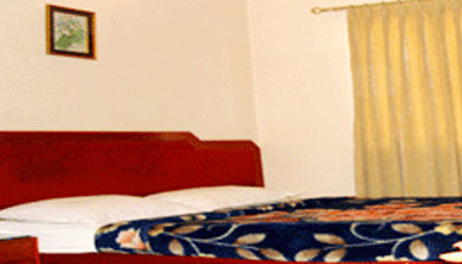 Superior kamer (eenpersoons) - Hotel Bombay Tiffanys
