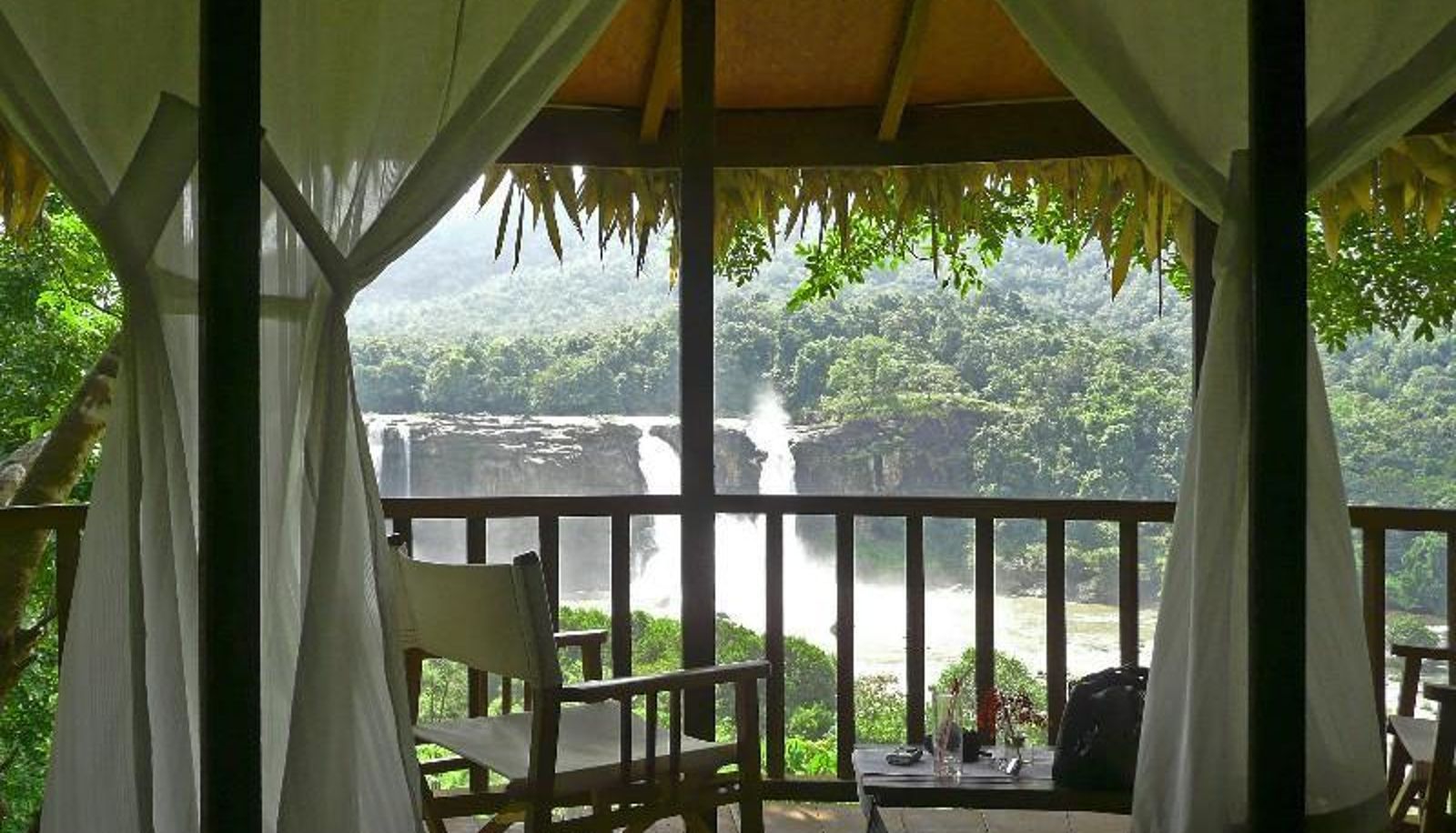 Vue intérieure - Rainforest