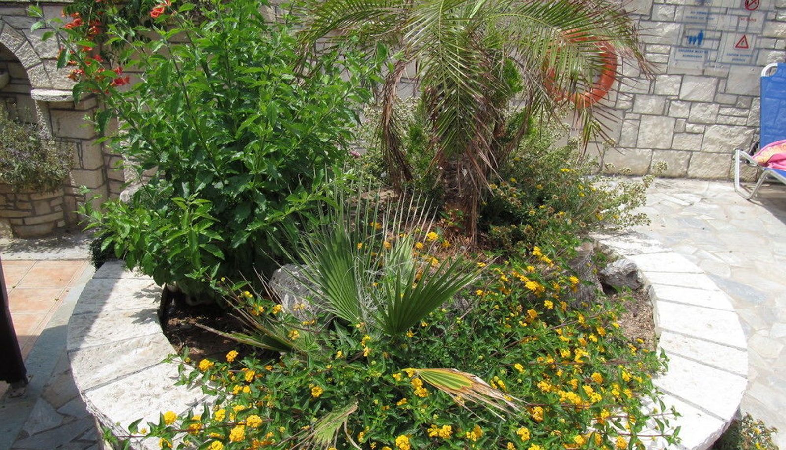 Garden - Kri Kri Village