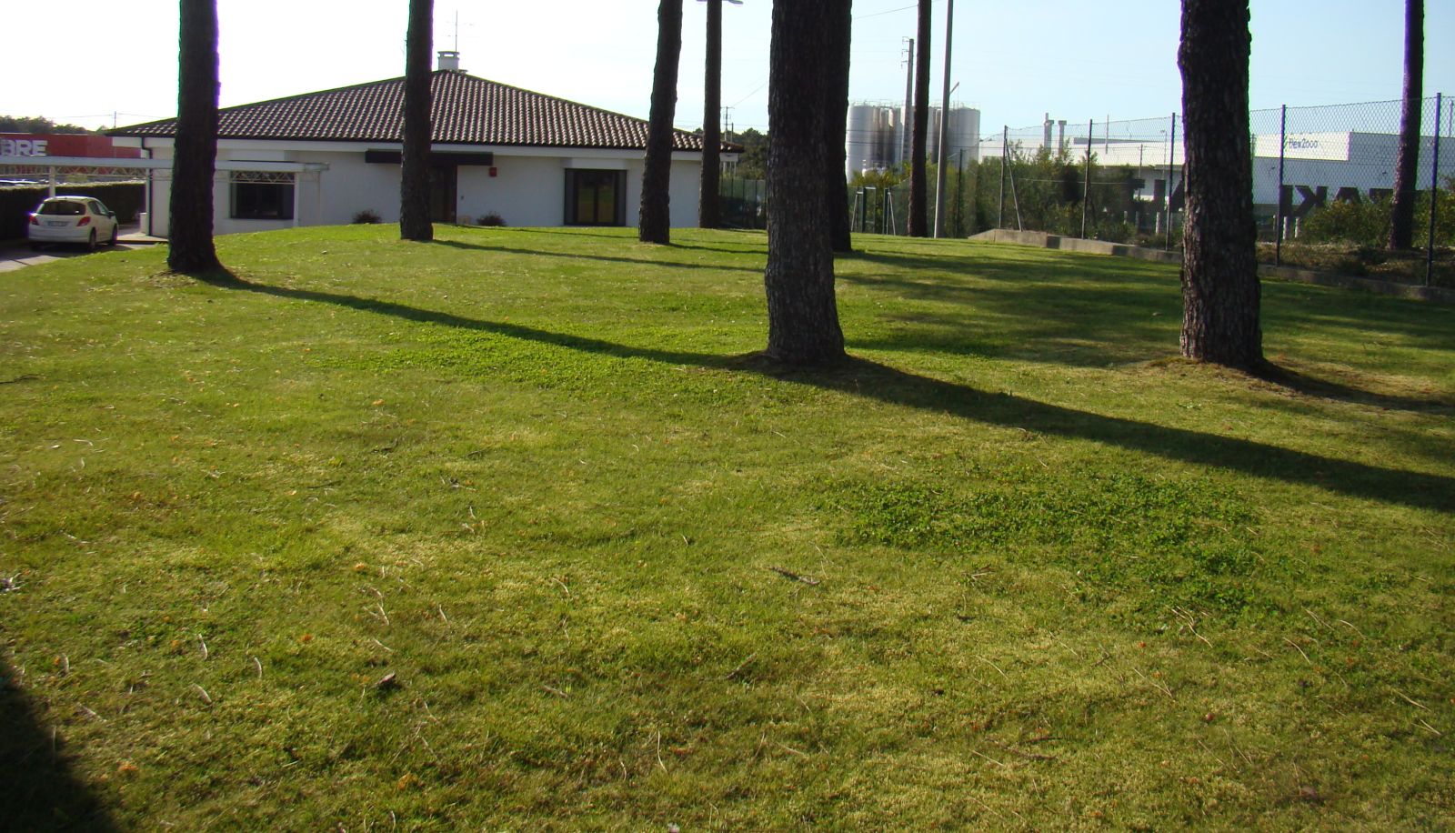 Giardino - YSE Guesthouse
