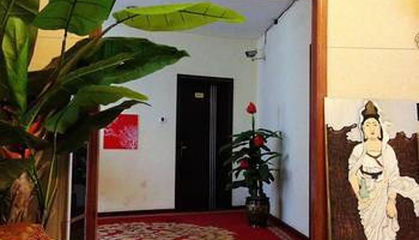 Sala - Big Blue hostel & backpackers Shangri-la