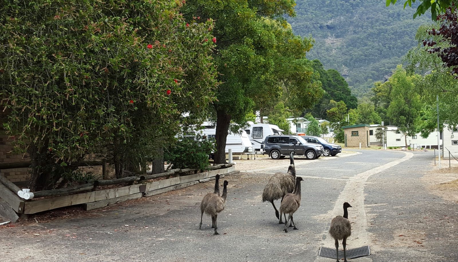 Giardino - Halls Gap Caravan and Tourist Park