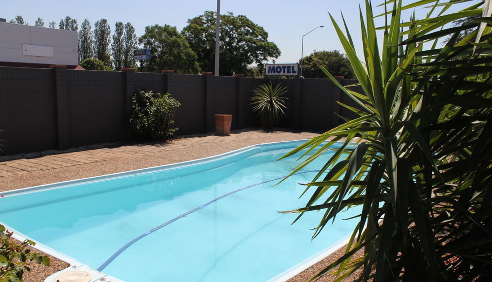 Pool - Muswellbrook Motor Inn