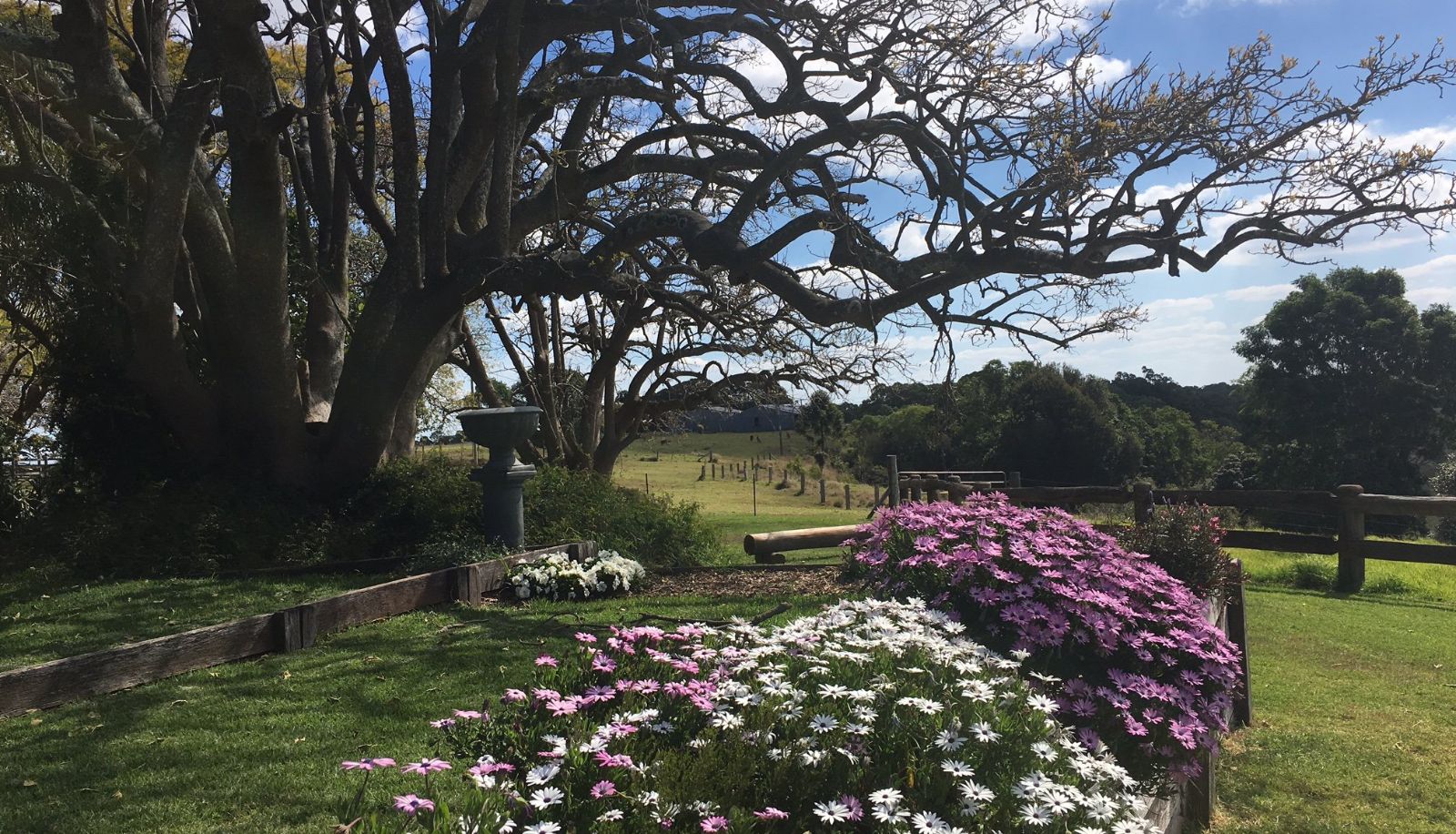 Garden - Hillview Cottages
