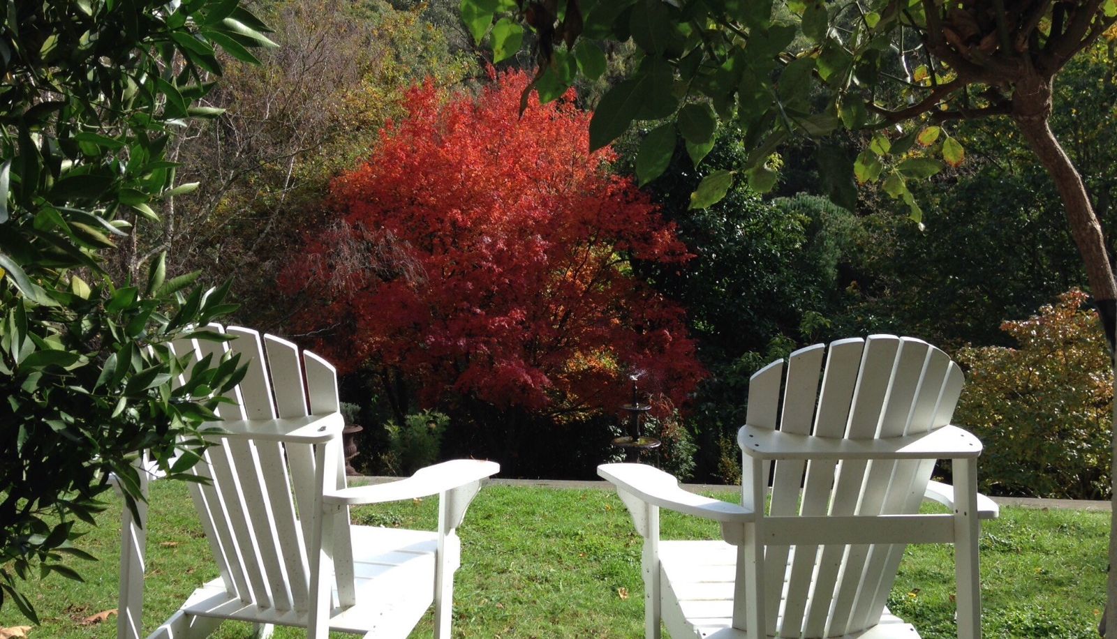 Garten - Brentwood Accommodation