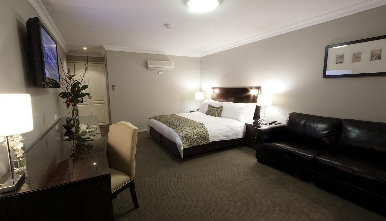 Apartment - Carlyle Suites and Apartments
