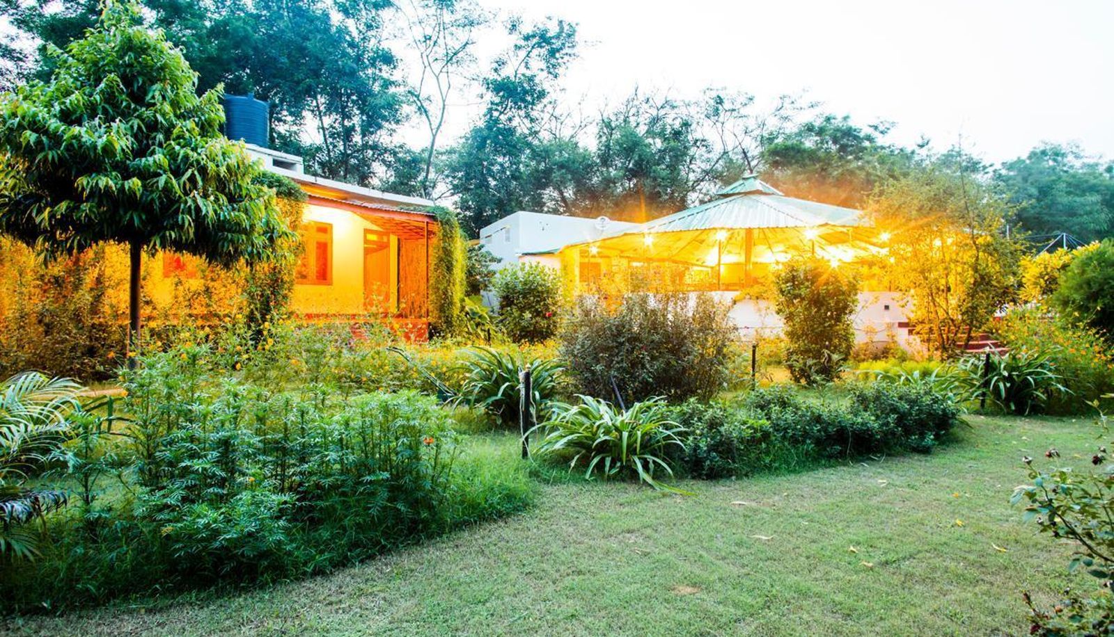 Información - Jungle View Resort