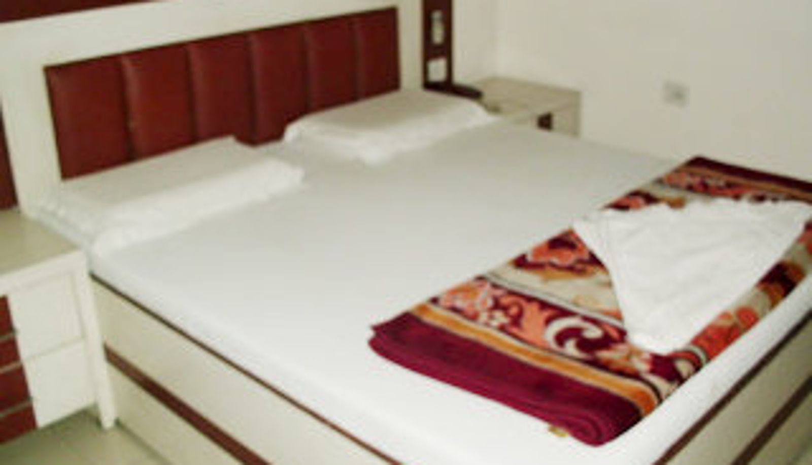 Info - Hotel Punjab Majesty