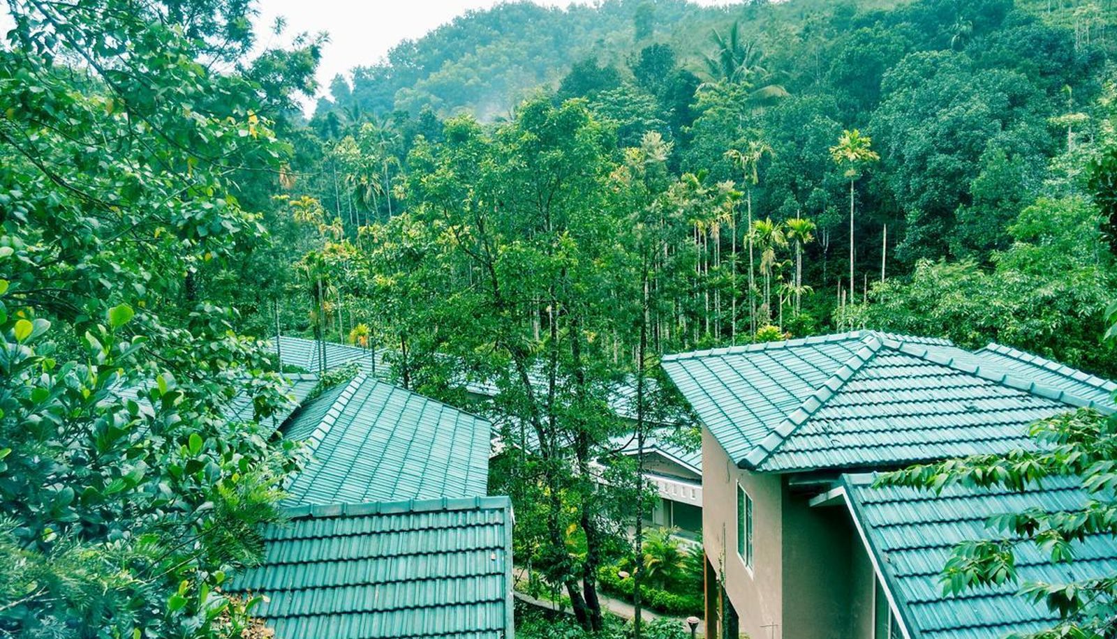 Info - Lakkidi Village Resort