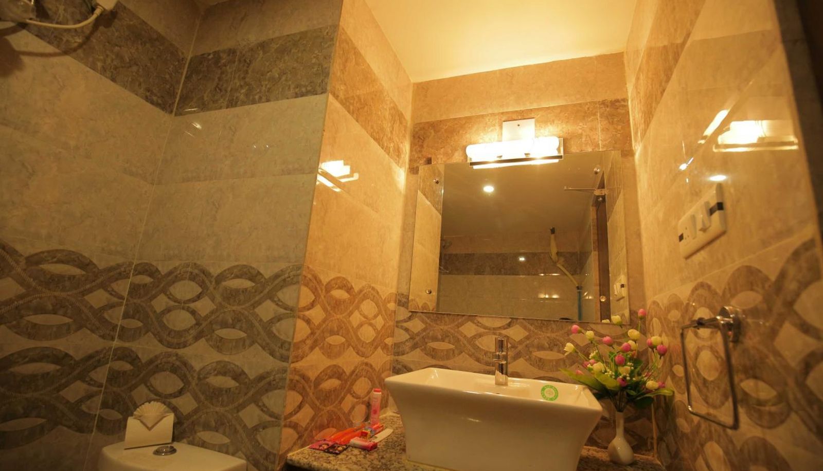 Camera standard (doppia) - Balaji International (Berries Group of Hotels)
