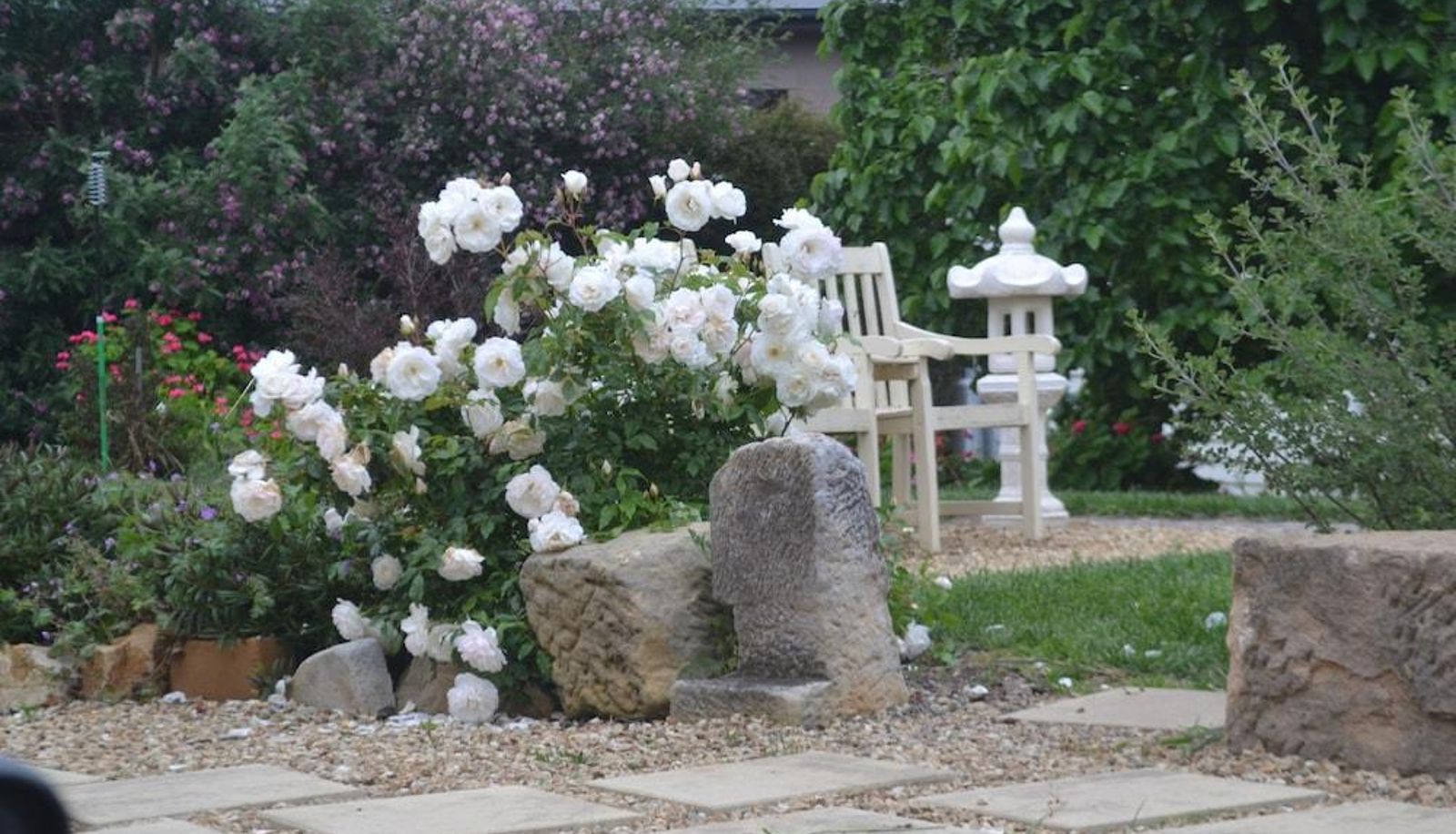 Informacje - Mulberry Cottage B&B