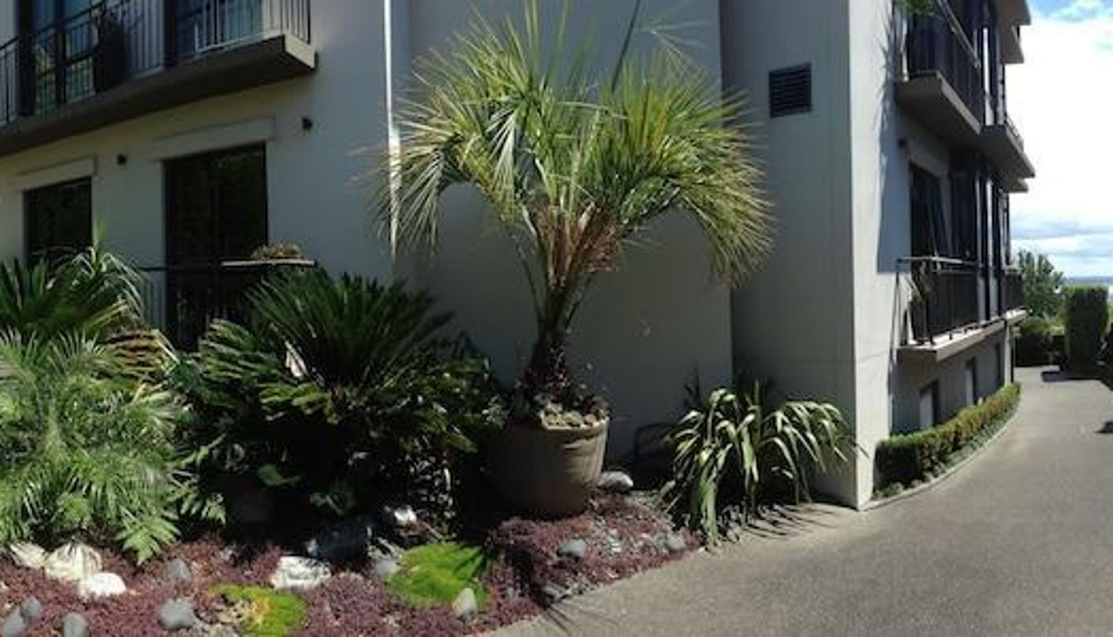 Info - Ascot Parnell Boutique B&B