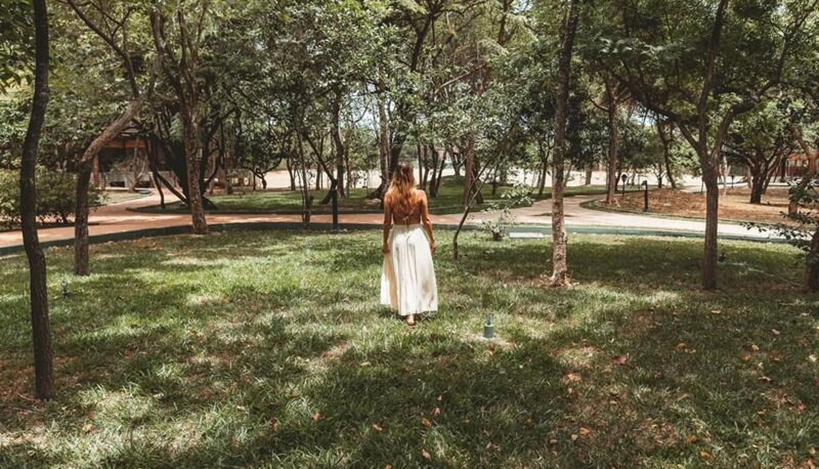 Garden - Occidental Paradise Dambulla