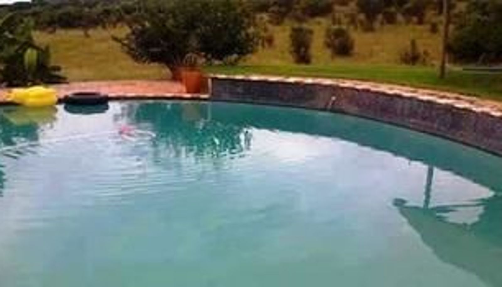 Pool - Cynthia's Country Farm Stay