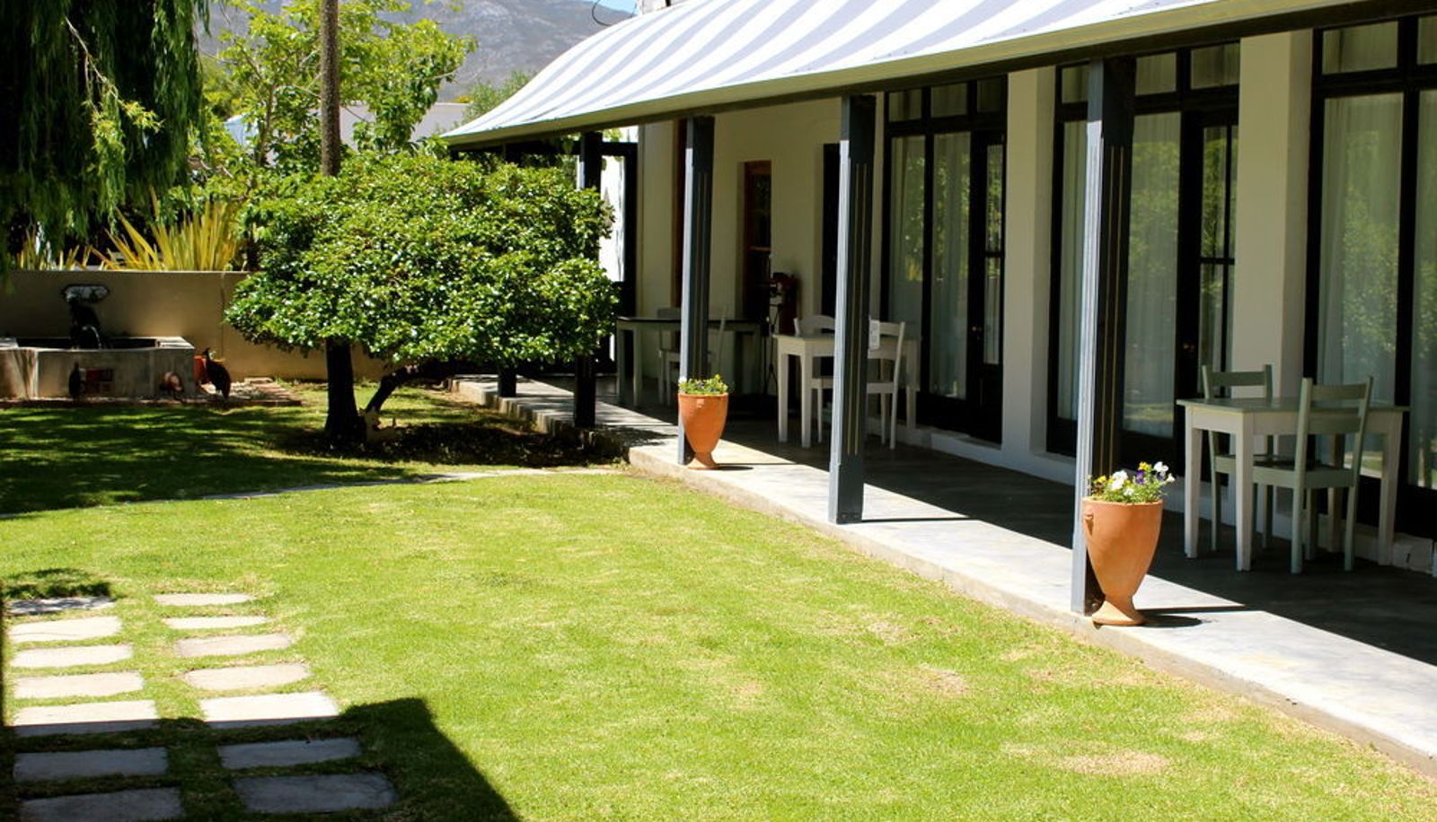 Terraza - Stanford Hotel