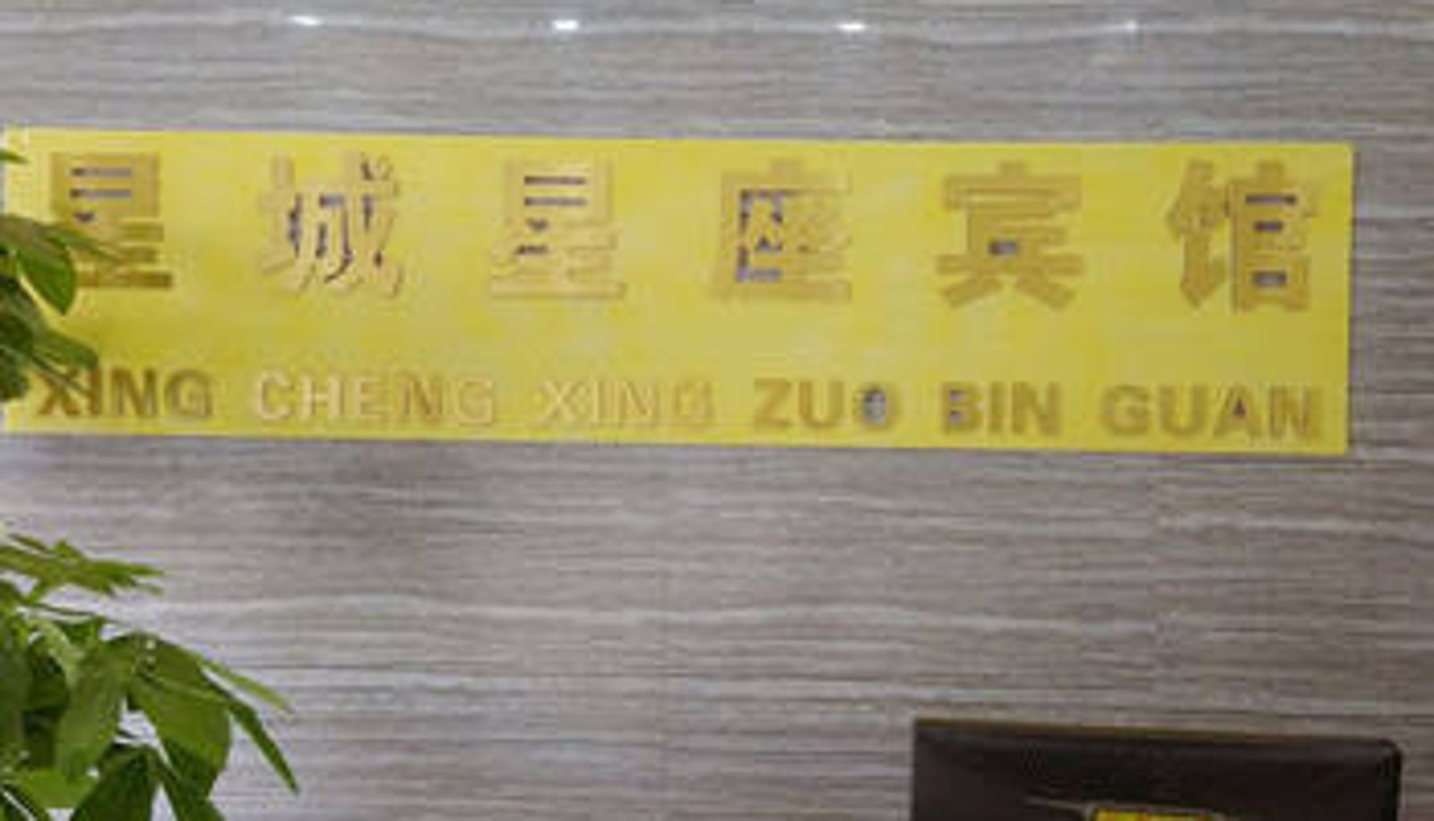Lobby - Xingcheng Constellation Hotel - Shijiazhuang