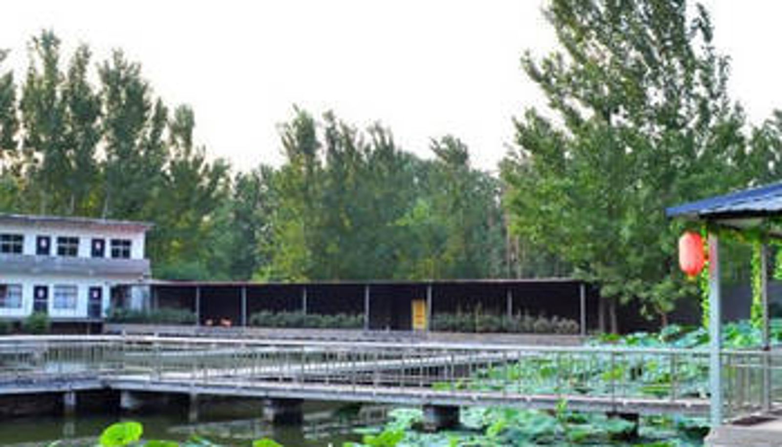 Info - Luoyang Maidi First Hotel