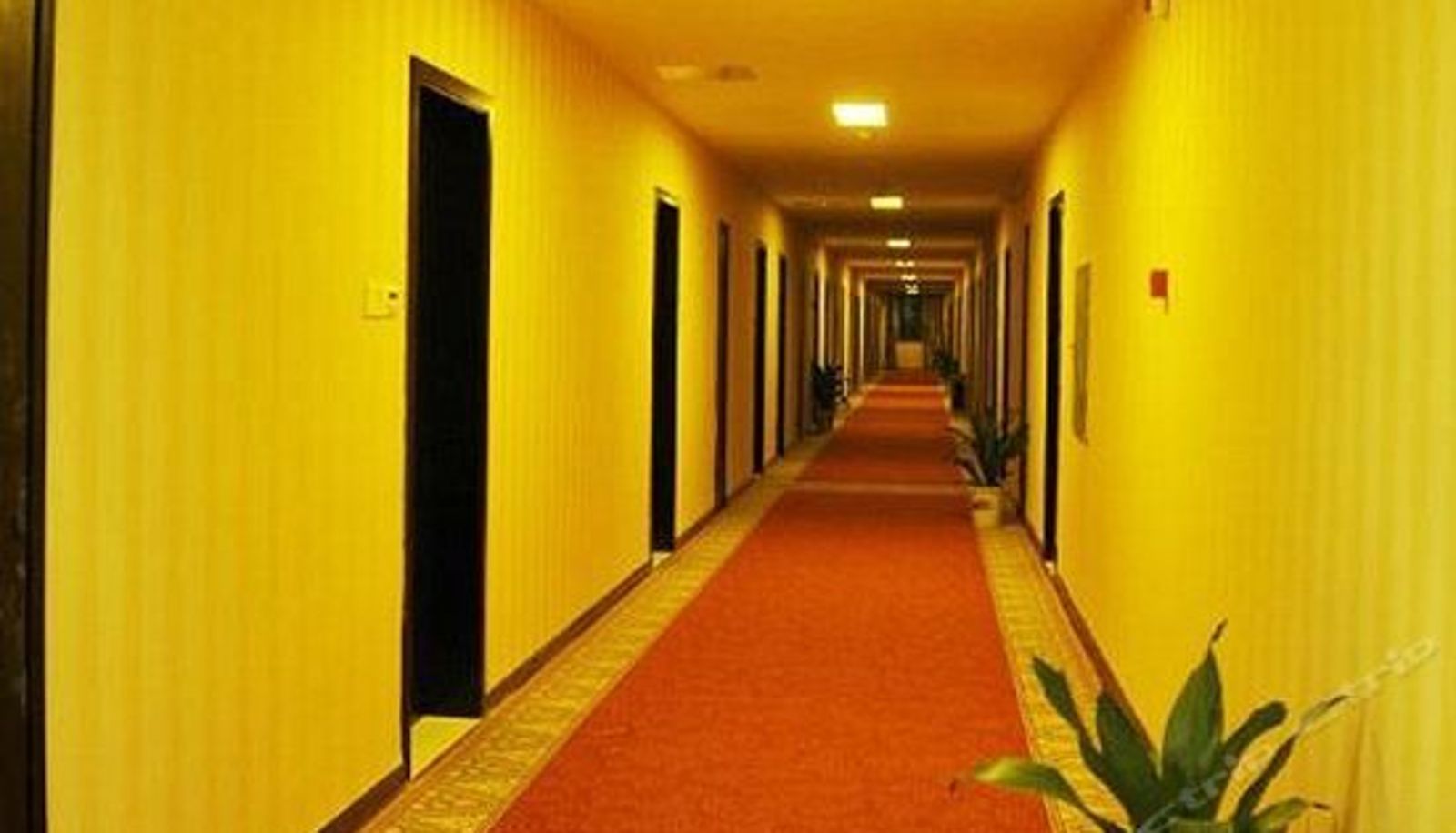 Recepcja - Luhao Hotel