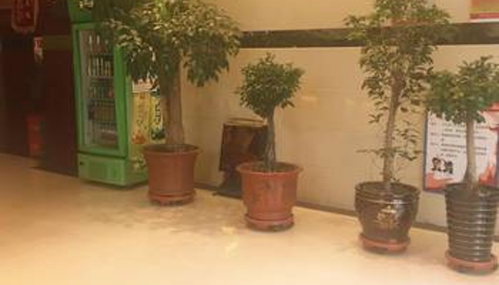 Hall - Xining Wujian Hotel (Xinghai Road Central Plaza Branch)