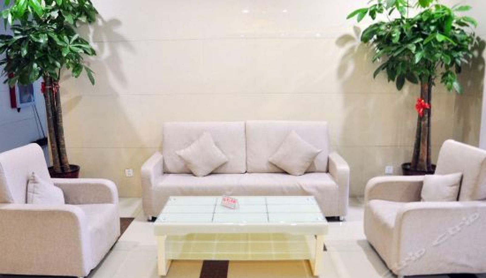 Rezeption - Best Business Hotel (Shijiazhuang Beiguo Shopping Mall)