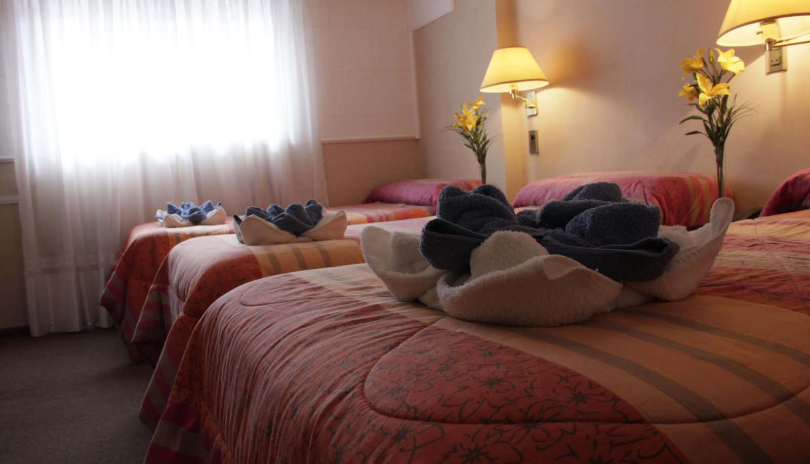 Room - Hotel Bertaina