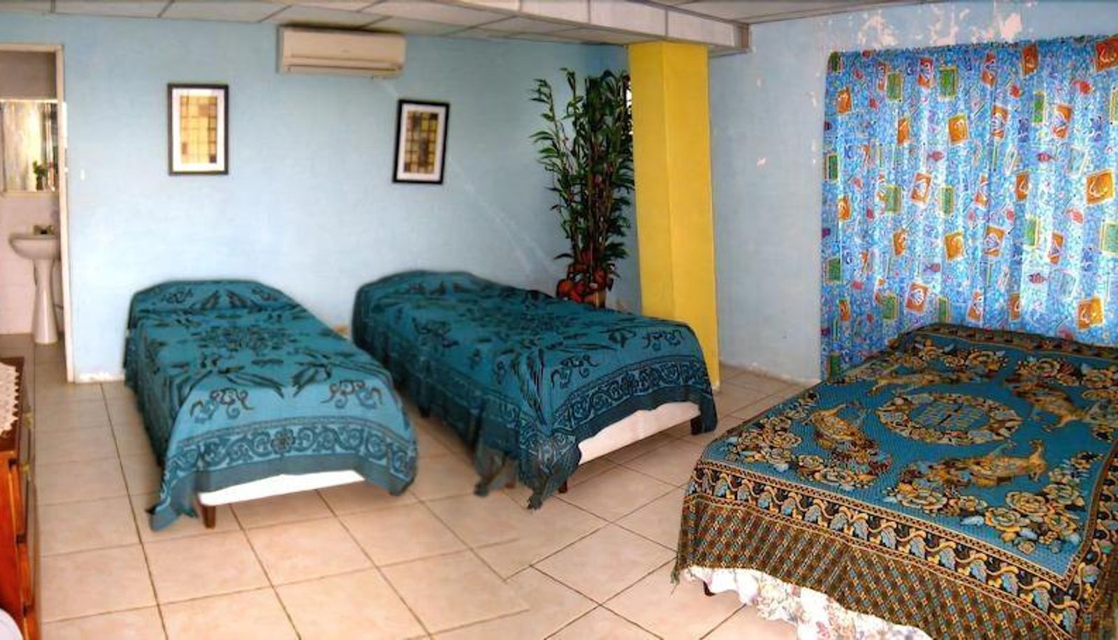 Standard room - Panama Divers & Octopus Garden Dive Center