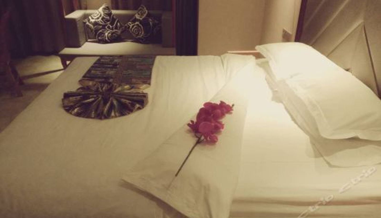 Business-Zimmer - Shengjing Holiday Inn