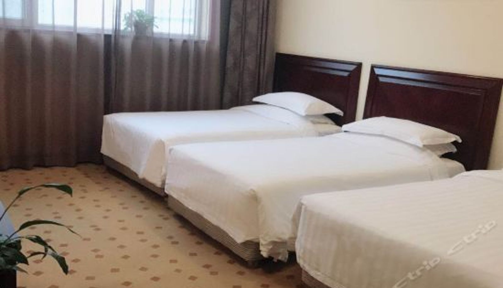 Dreibettzimmer - Fortune · Tang Hotel