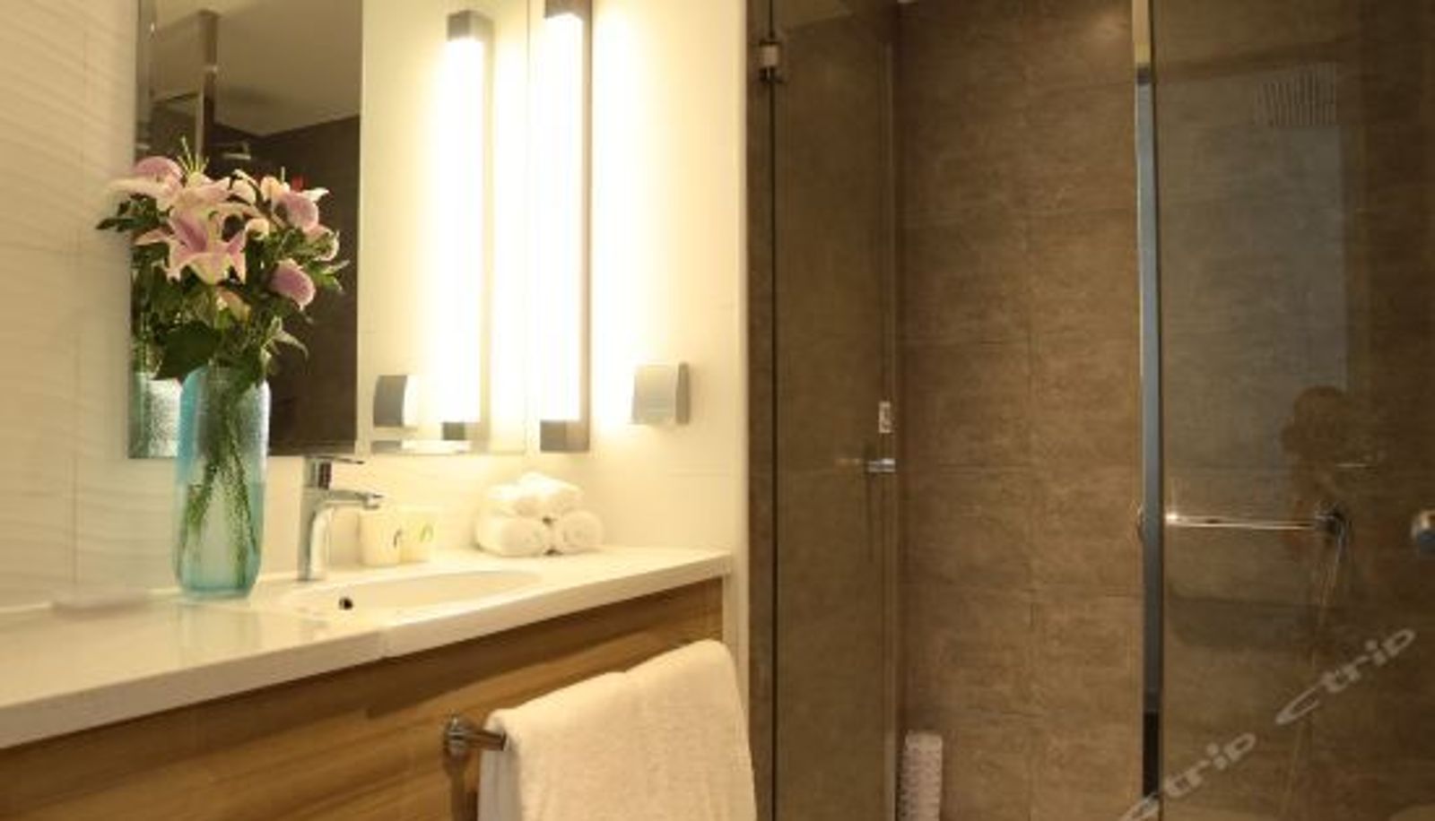 Habitación corporativa - Campanile Hotel (Huzhou Taihu Lake Resort)