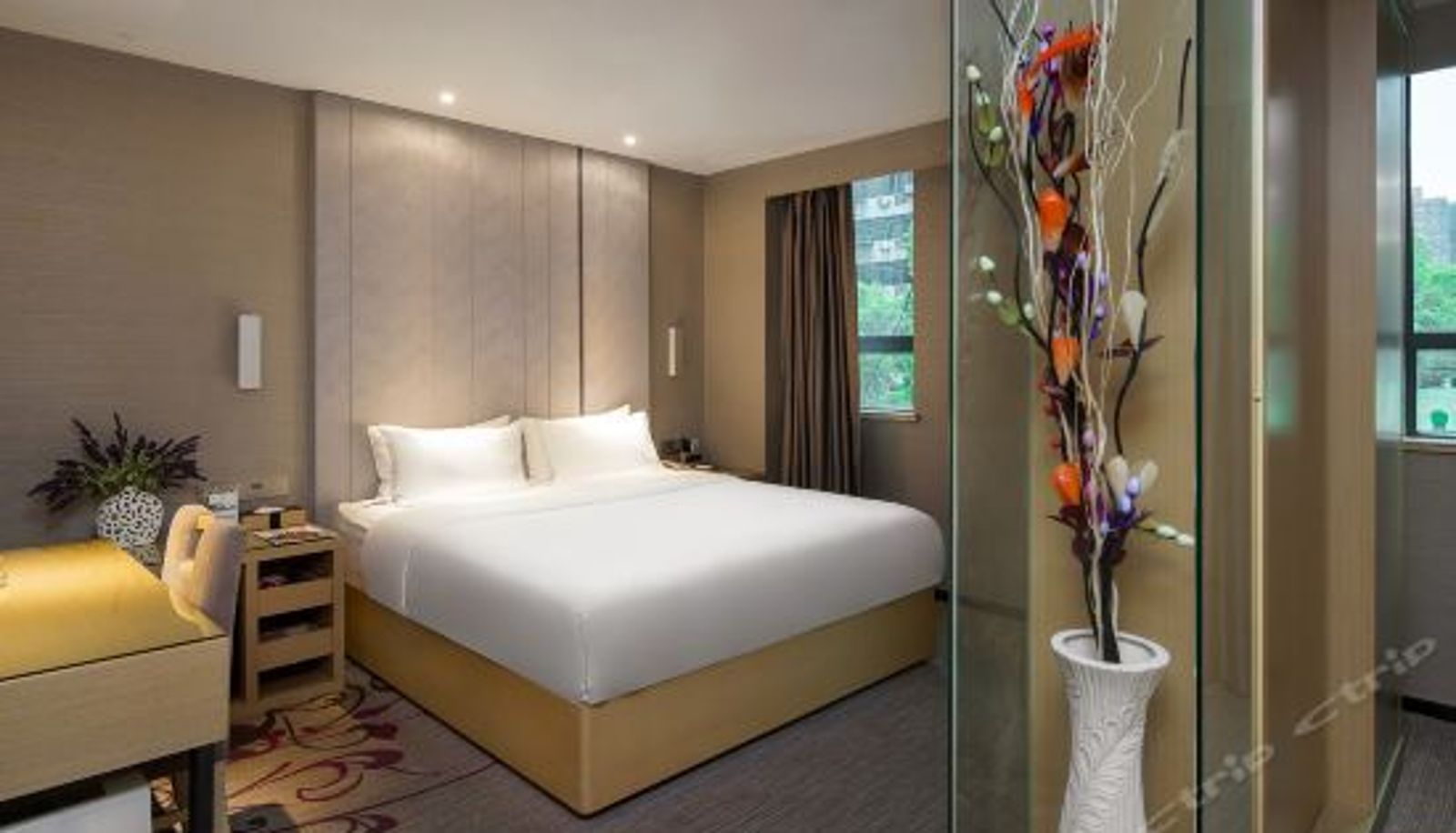 Suite - 丽枫酒店(衡阳常胜西路南华大学店)