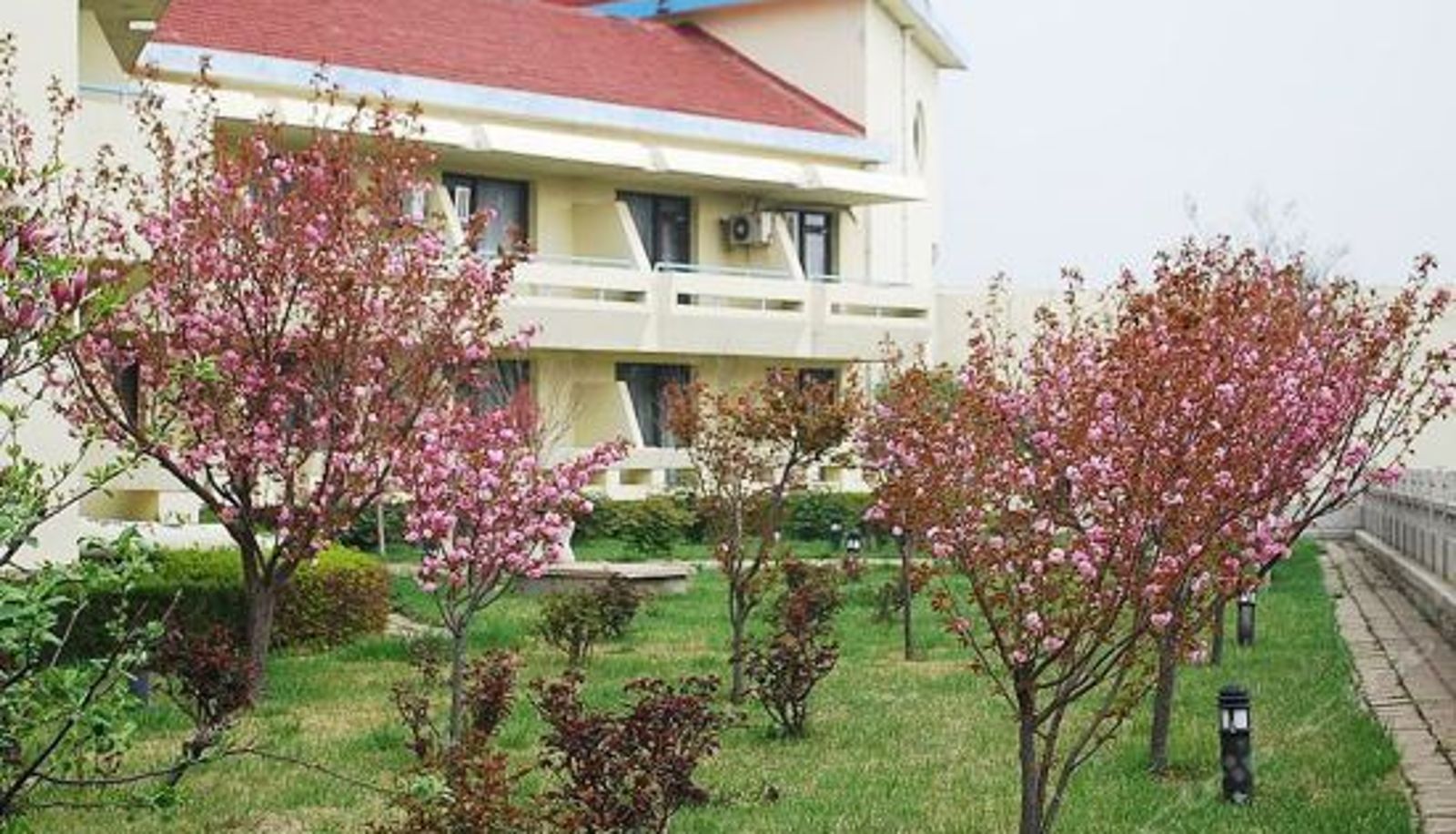 Réception - Seaview Garden Hotel