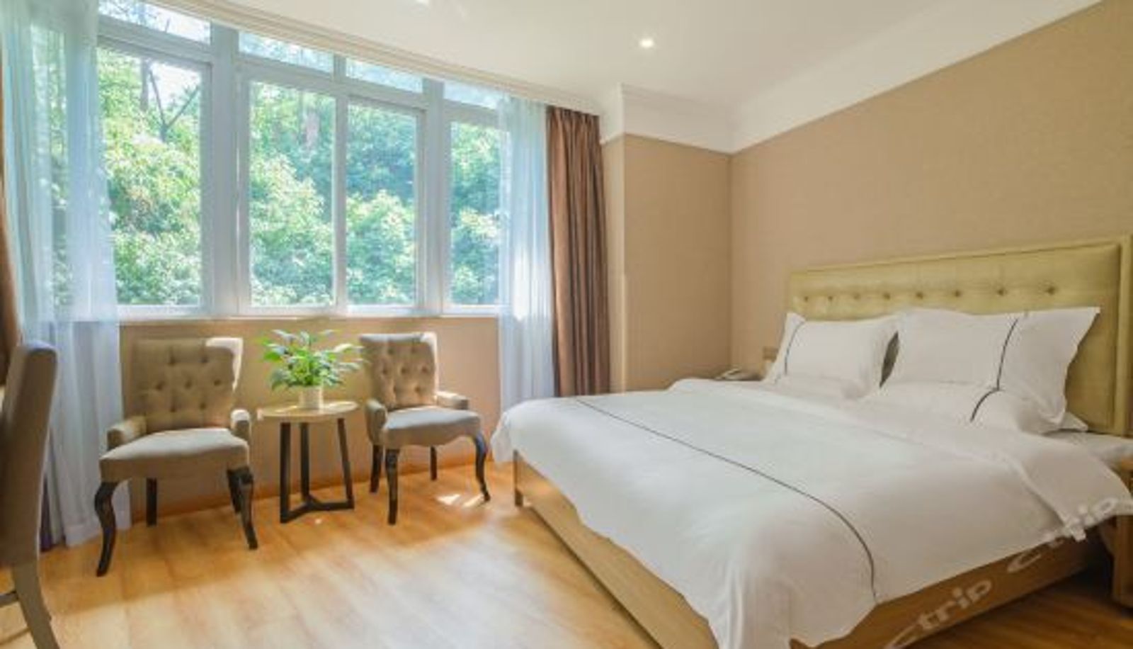 Chambre Business - Chongqing Ba Bai Feng Traders Hotel