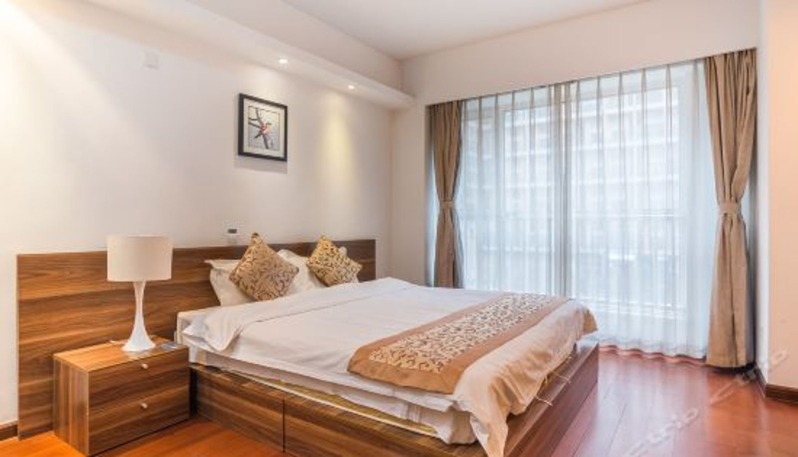Camera business - Qingdao Haianju Apartment Damuzhi Plaza