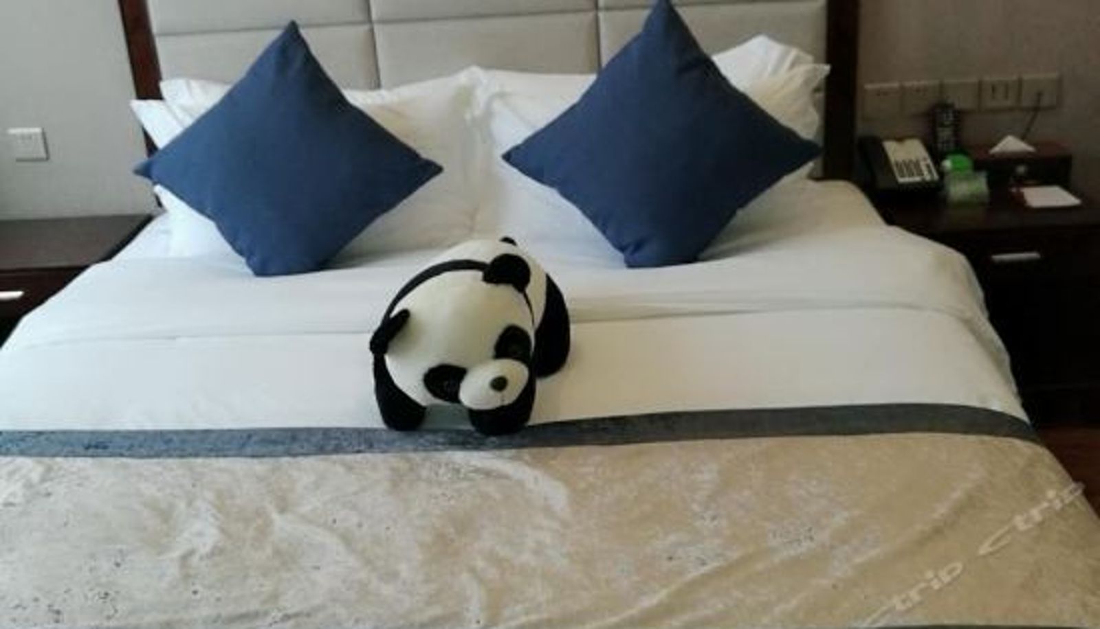 Pokój typu business - Xinmiao Panda Hotel