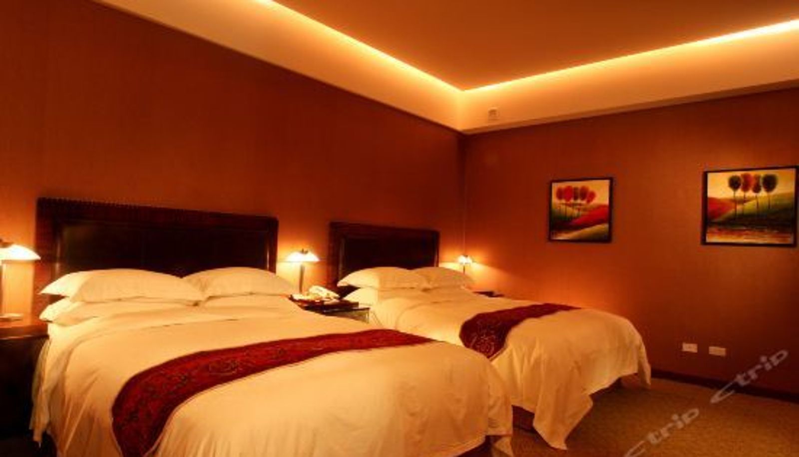 Standard room - 宜兰礁溪雪山温泉会馆