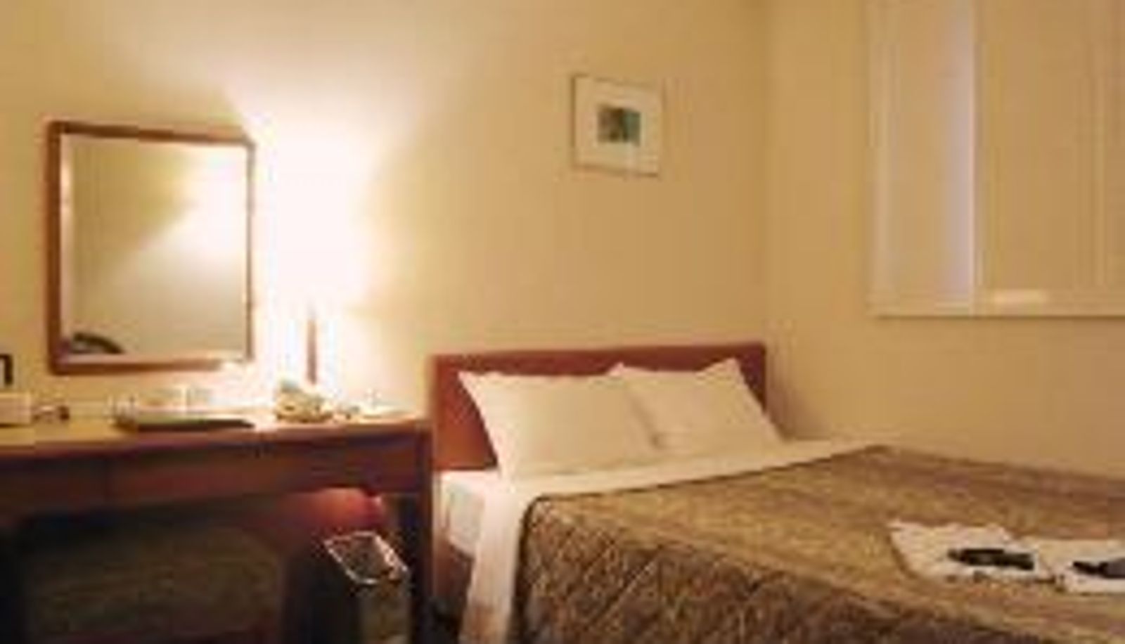 Pokój standardowy (dwuosobowy) - Kashiwa Plaza Hotel