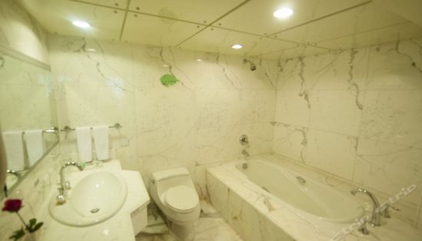 Suite - Jingyuan Hotel
