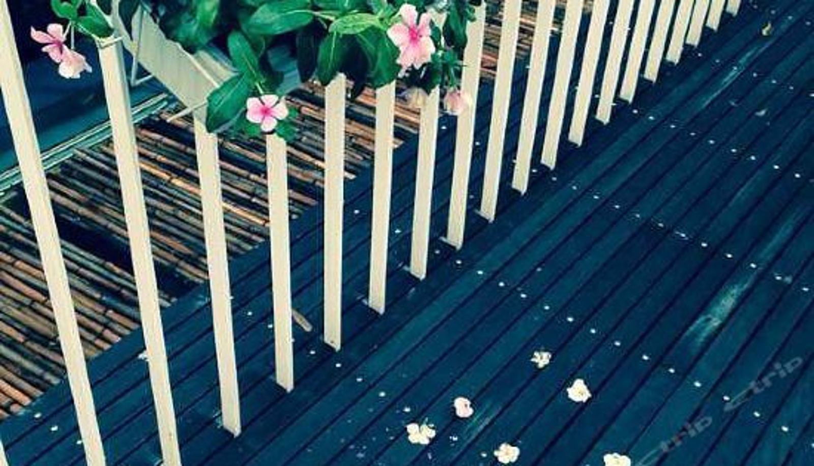 Vista interna - Lazy Garden Hostel